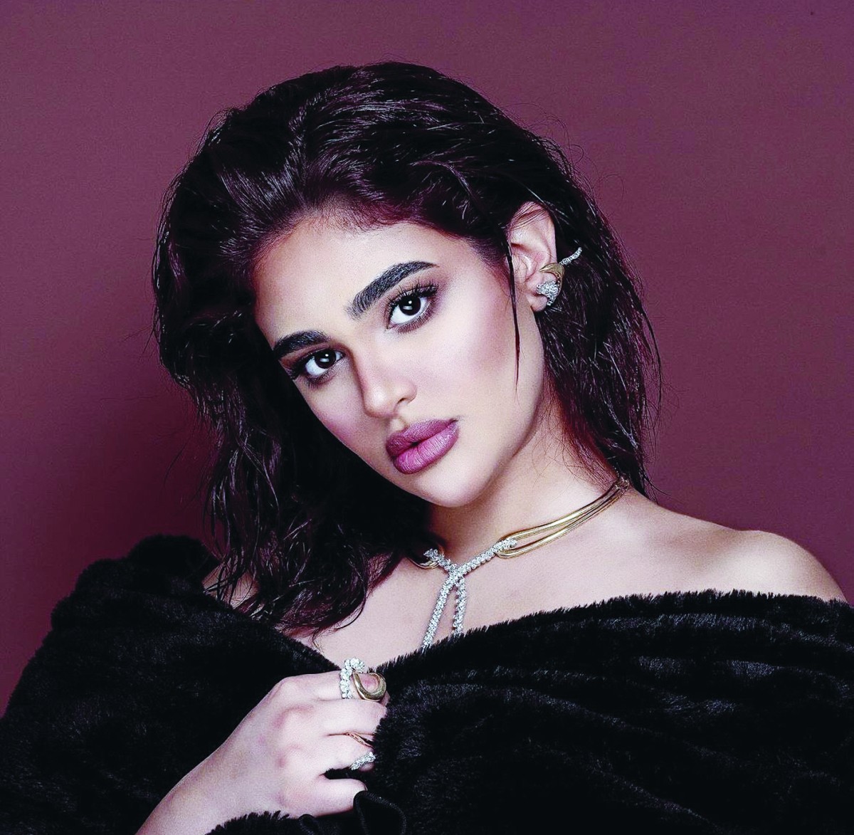 ليالي دهراب تشكو للمجلس الوطني وتلجأ إلى القضاء