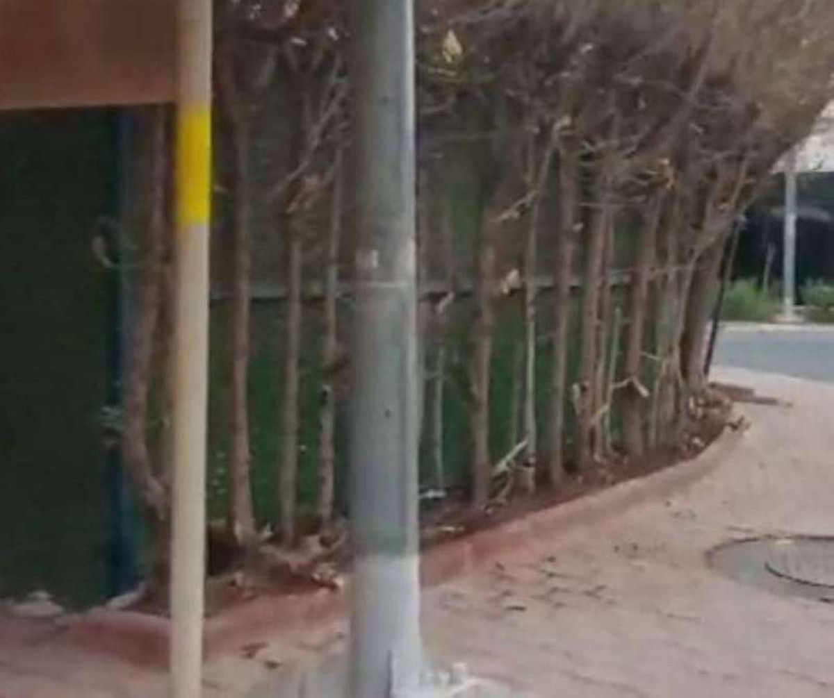 البلدية: توجيه 86 إنذار حاجب للرؤية في مبارك الكبير