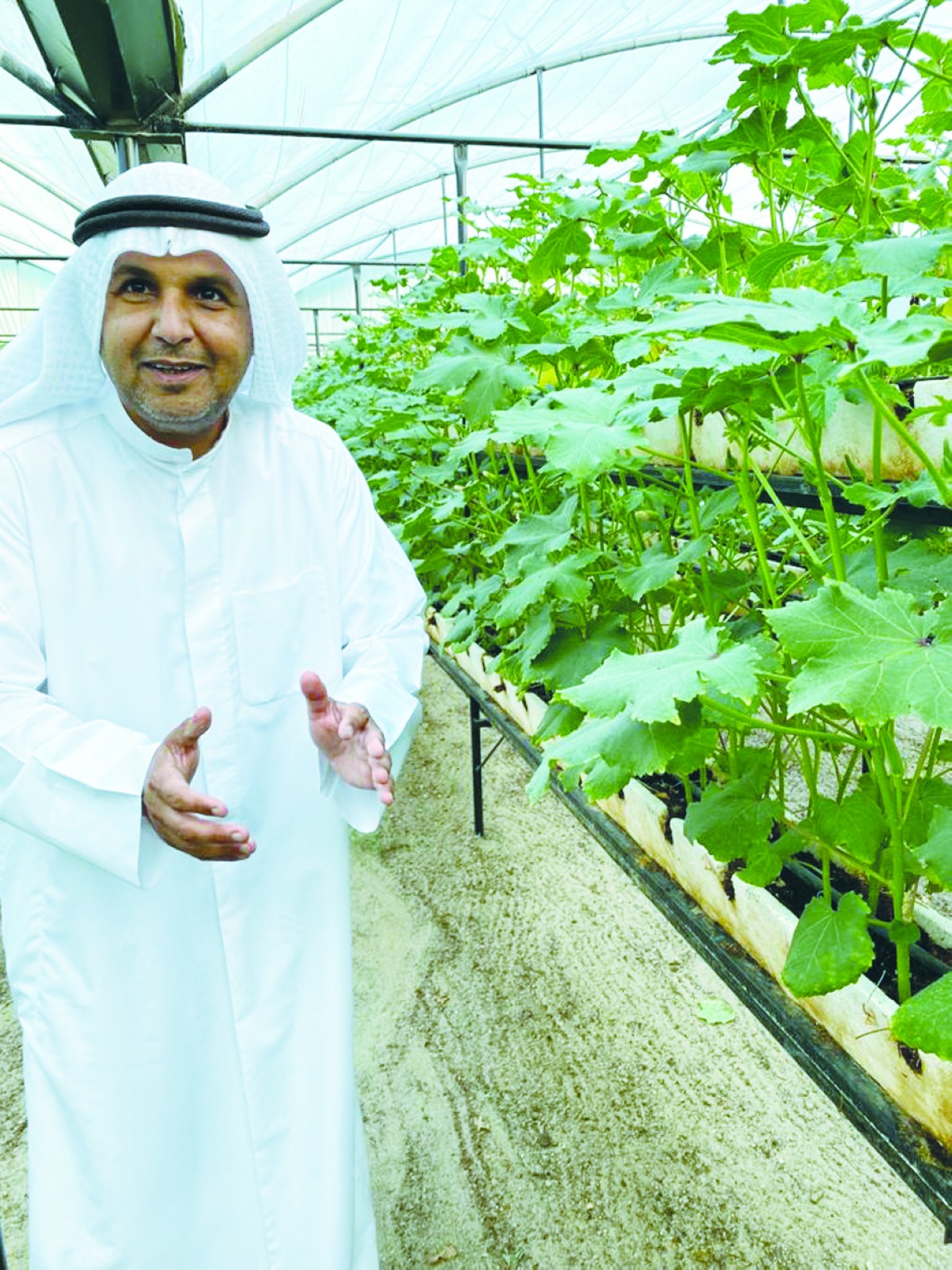 المزارعون الكويتيون ... نزيف خسائر وتحديات بالجملة