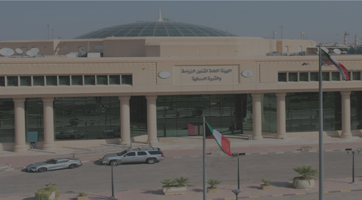 'الزراعة': السماح لمربي الحلال باختيار أنواع الأعلاف المدعومة