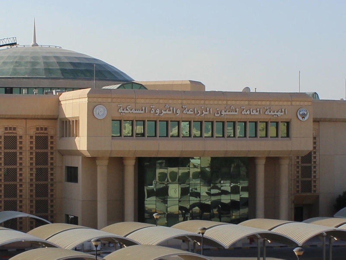 سحب جواخير 'المزادات' في كبد