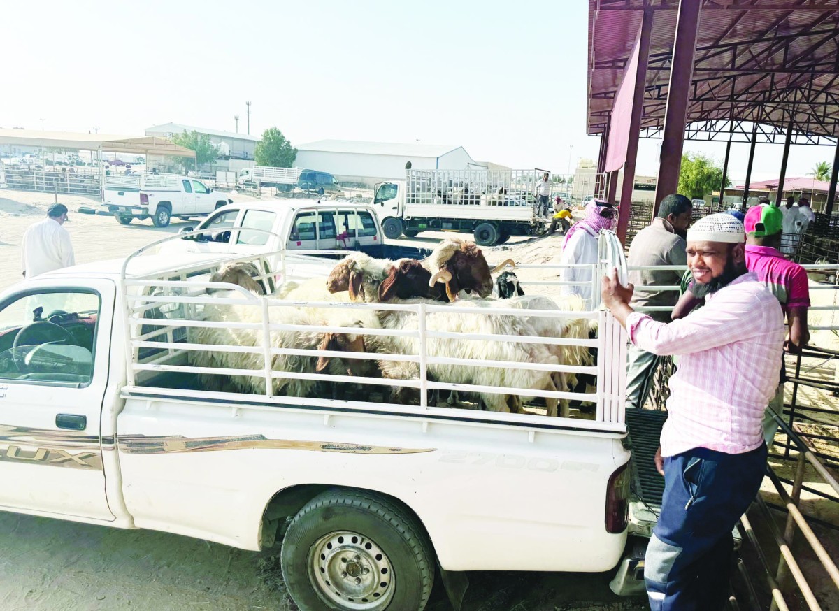 المضاربات ترفع أسعار 'الأضاحي' وهمياً إلى 200 دينار