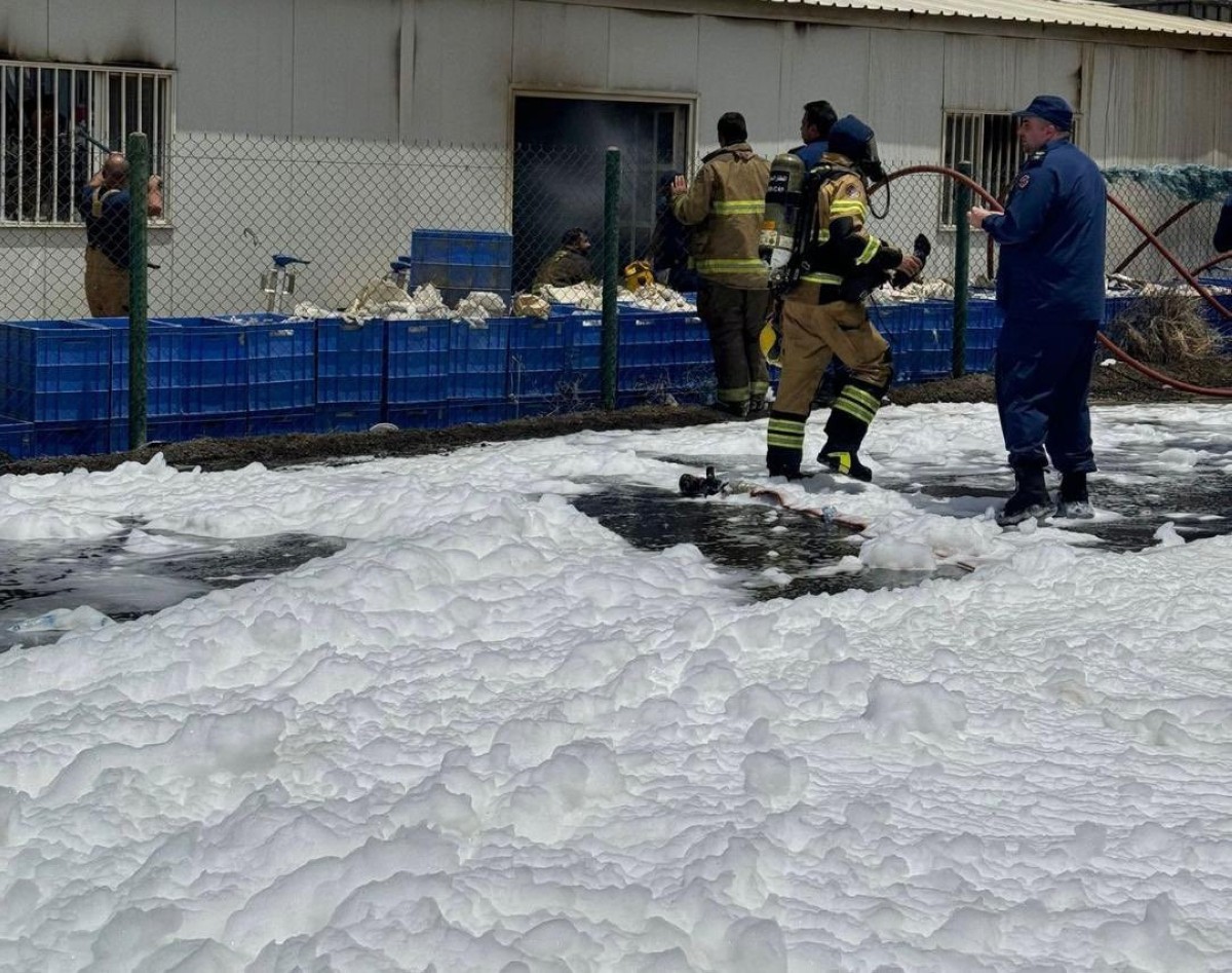 الاطفاء تسيطر على حريق شاليهات في الضجيج