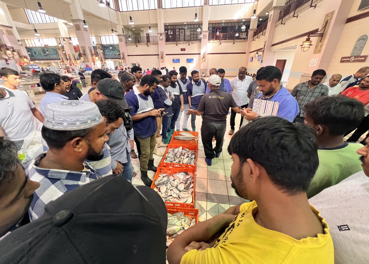 'الزبيدي' يعود ... 'ملكاً'!