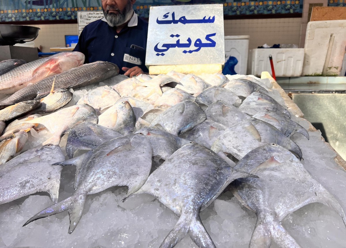 'الزبيدي' يعود ... 'ملكاً'!