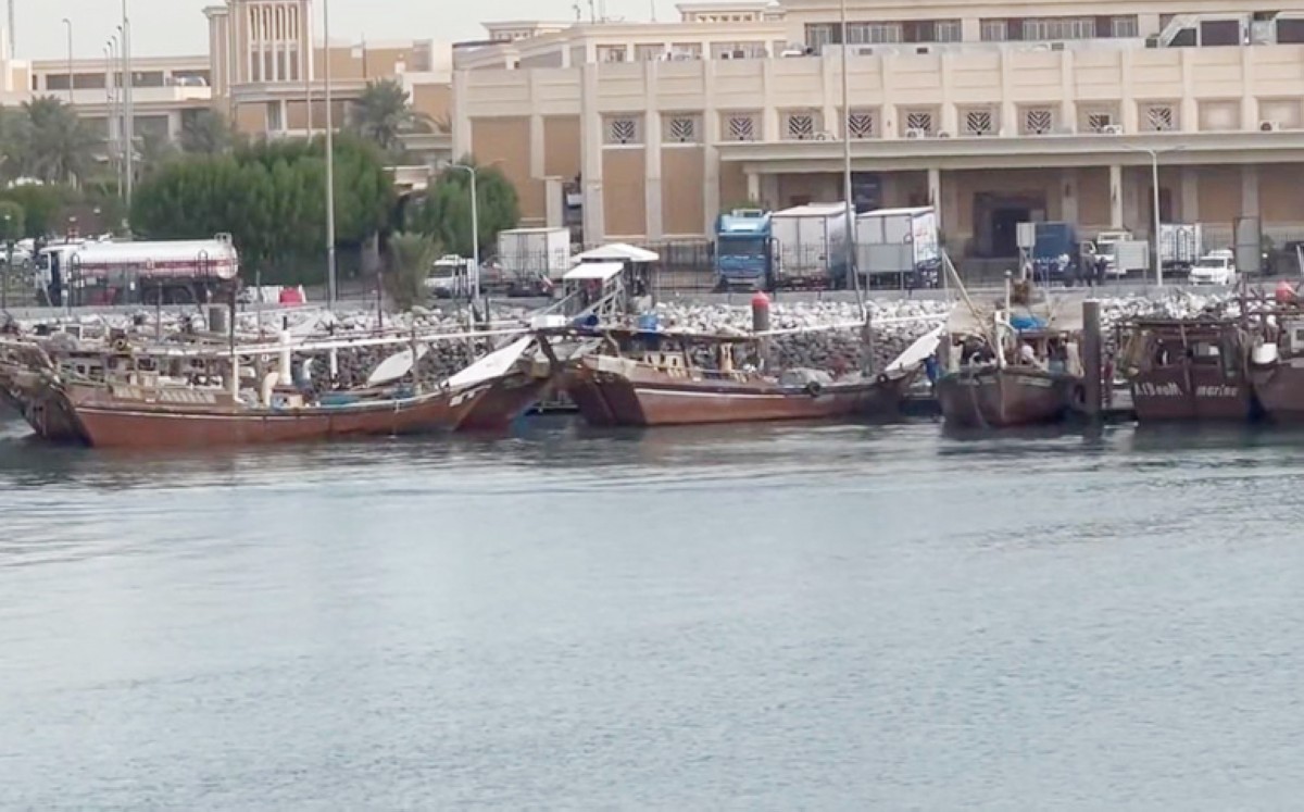 نقص الديزل يُفقد الكويت نصف حصتها من الأسماك