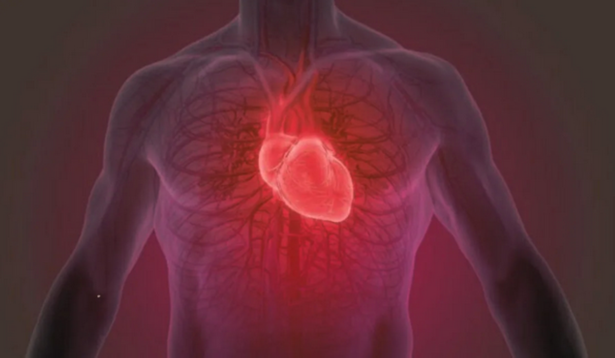 ابتكار صمّامات قلب حيّة تنمو طبيعياً في الجسم