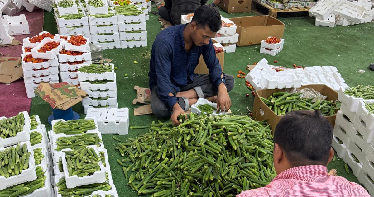 الكندري: العبوات الجذّابة والتعبئة السليمة مفتاح التسويق الجيد