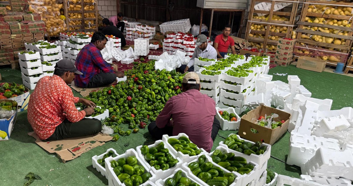 الكندري: العبوات الجذّابة والتعبئة السليمة مفتاح التسويق الجيد