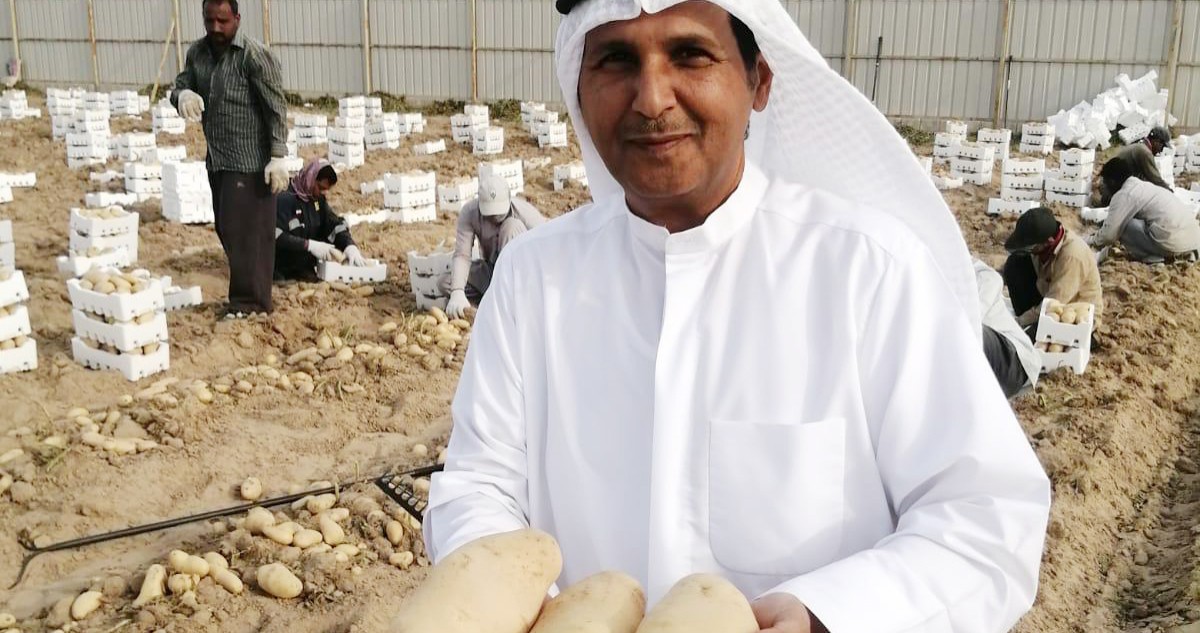 المطيري: زراعة الصيف ضرورة المحترف