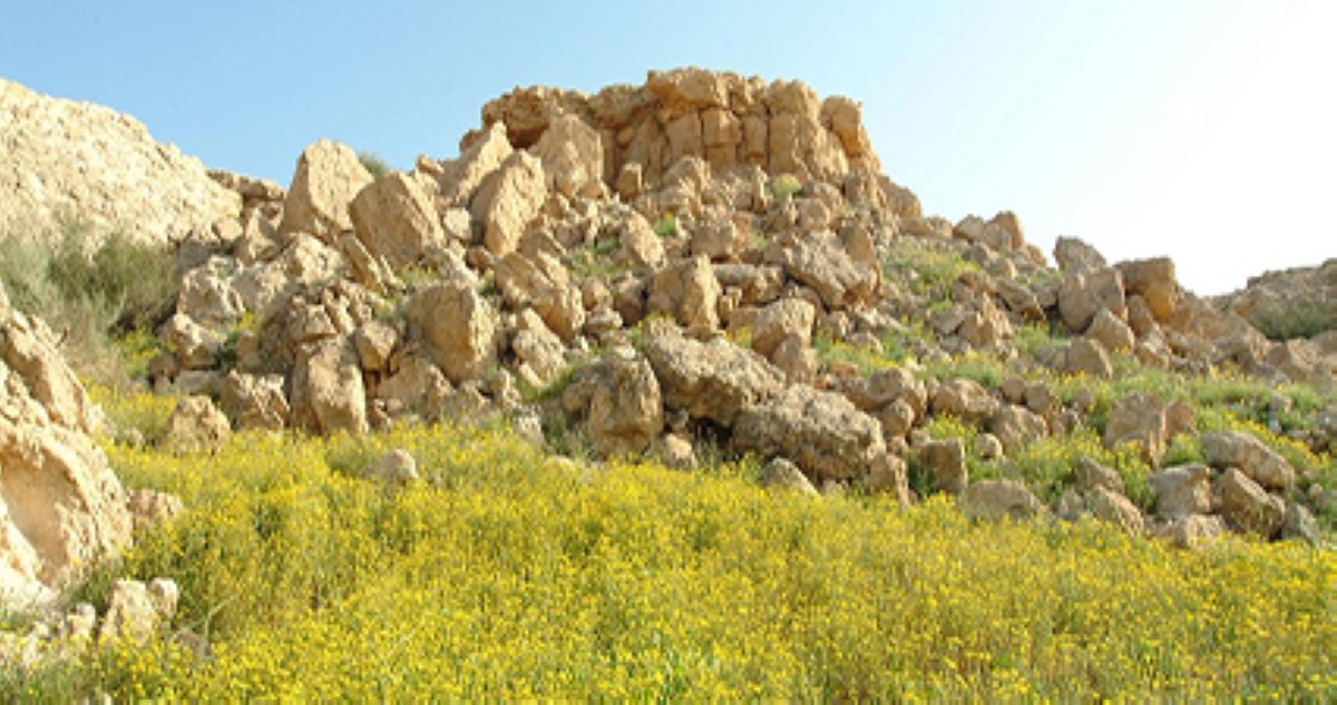 السياحة البيئية فرصة ذهبية للكويت لدخول دائرة الاقتصاد الأخضر