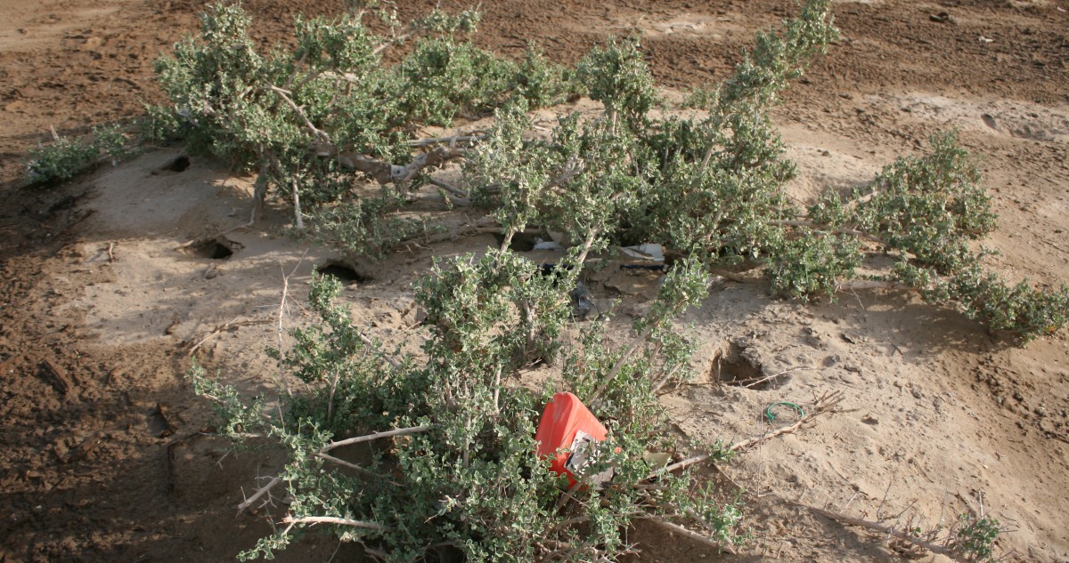 السياحة البيئية فرصة ذهبية للكويت لدخول دائرة الاقتصاد الأخضر