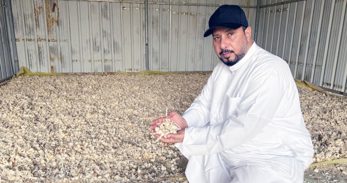 العازمي: المزارعون يكدّون صيفاً... ليستمتع المستهلكون شتاءً