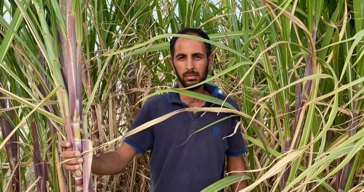 العازمي: المزارعون يكدّون صيفاً... ليستمتع المستهلكون شتاءً