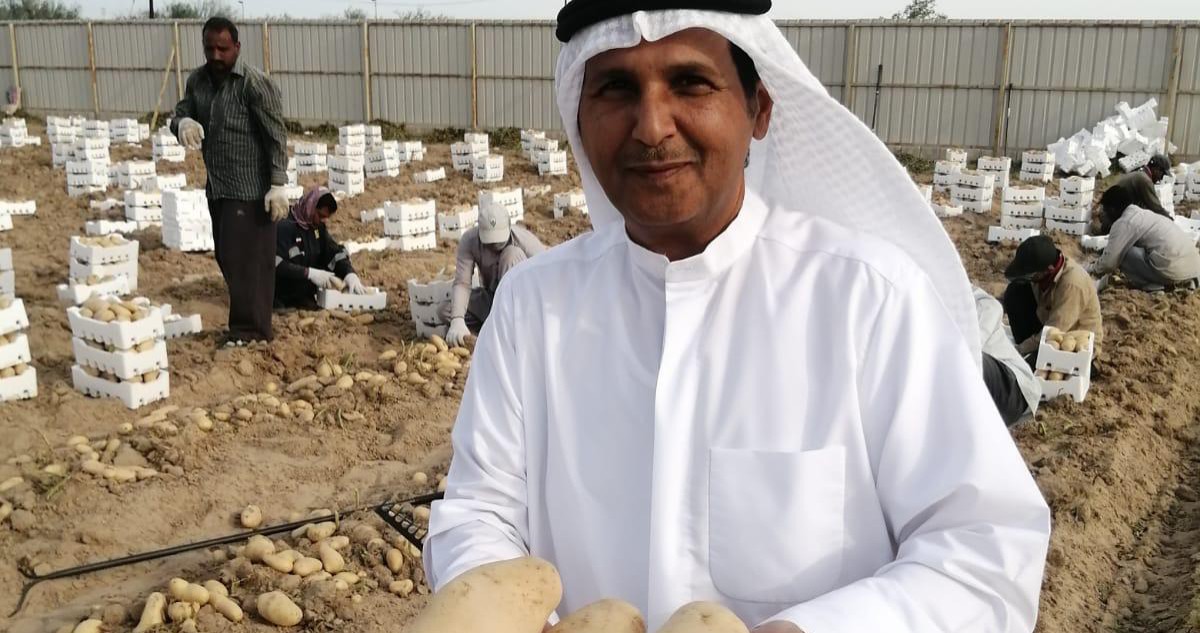 محمد علي المطيري: سوق واحدة تحسّن فرص البيع