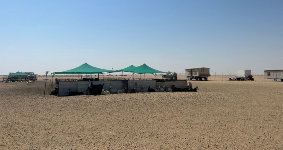 البلدية تزيل معوقات إنتاج الطاقة المتجددة الأحد المقبل