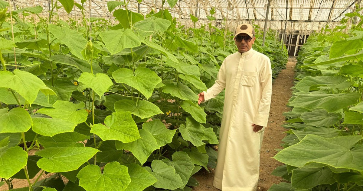 فيصل القضاب: ضعف المياه المعالجة المشكلة الكبرى في العبدلي والوفرة ويهدد الإنتاج فيهما