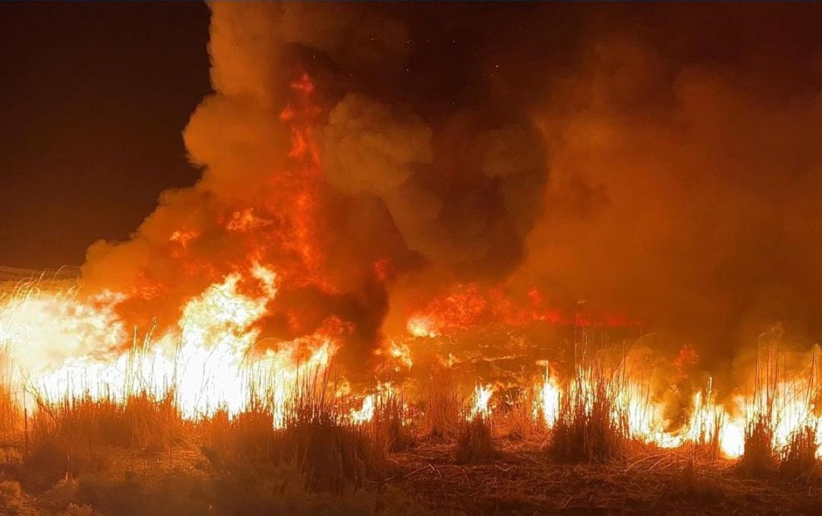 3 فرق إطفاء سيطرت على &rlm;حريق أشجار بالقرب من 'صباح الأحمد'