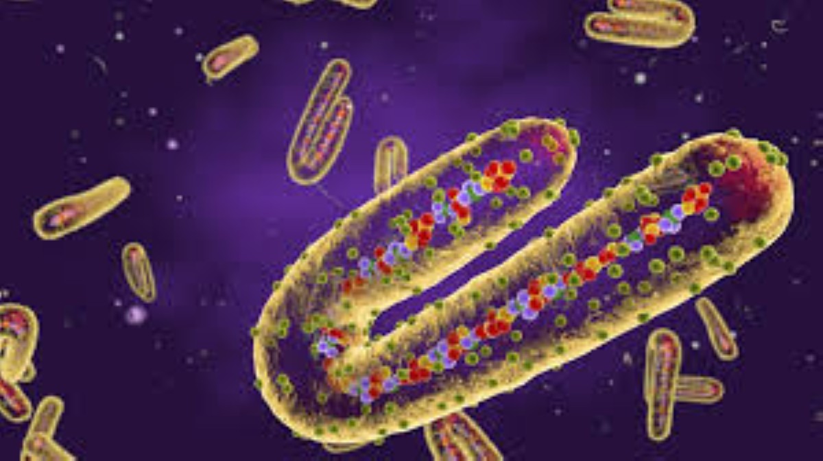 'الصحة العالمية' تحذّر من تفشي فيروس 'ماربورغ' القاتل