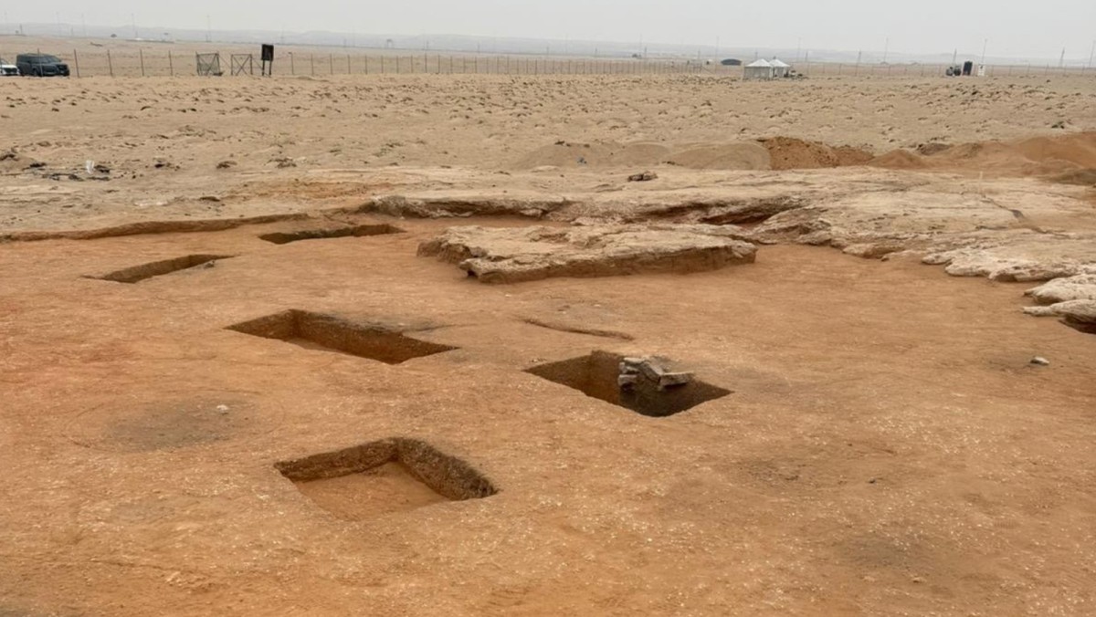 'الوطني للثقافة': اكتشاف أفران عمرها 7700 سنة... ونصف مجسم لطائر البومة المجنحة في 'الصبية'