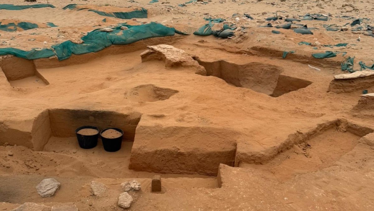 'الوطني للثقافة': اكتشاف أفران عمرها 7700 سنة... ونصف مجسم لطائر البومة المجنحة في 'الصبية'