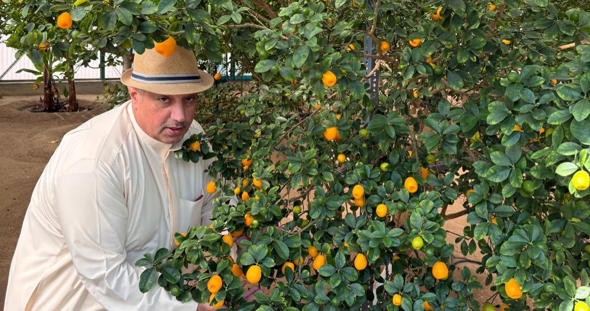 المشاري: مطلوب متنزهات سياحية  في ربوع العبدلي لإنعاش المناطق الزراعية