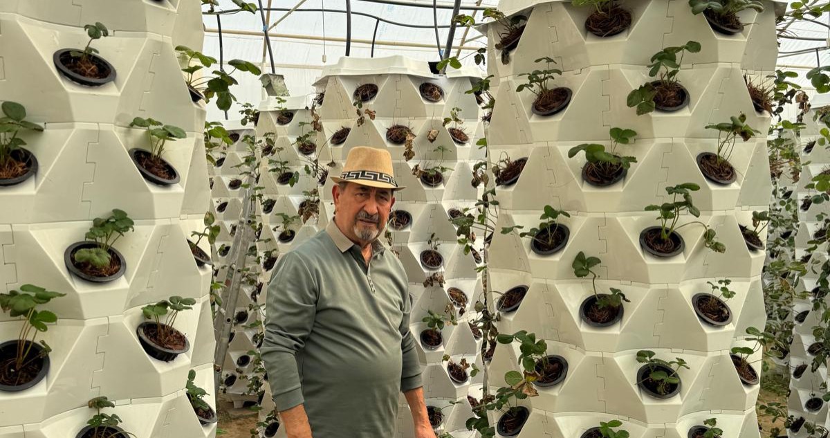 عبدالحافظ معرفي: المزرعة النموذجية ثلاثية الخدمات نبات وحيوان وطير