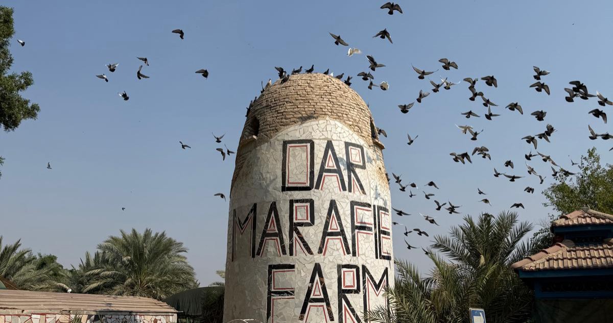 عبدالحافظ معرفي: المزرعة النموذجية ثلاثية الخدمات نبات وحيوان وطير