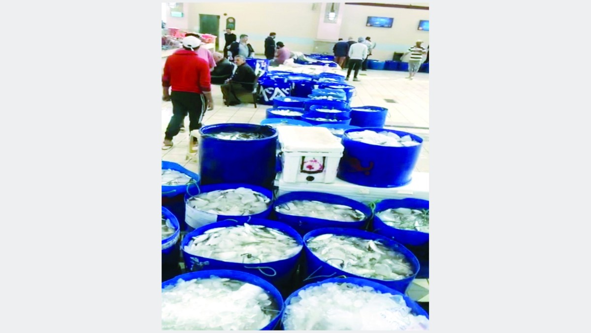 موسم الميد... البحر بريء من ارتفاع الأسعار والخلل بالمزاد