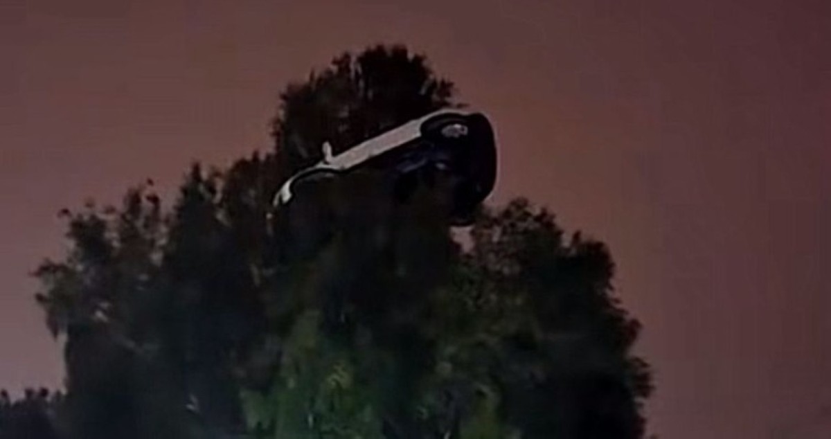 'سيارتي فوق الشجرة'... ذهول على 'السادس' واستنفار في 'المطافي'