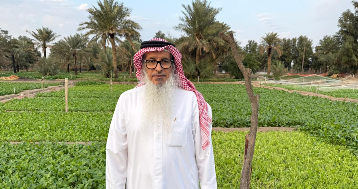 الجلال: الوفرة الزراعية لم يواكبها التطور المأمول