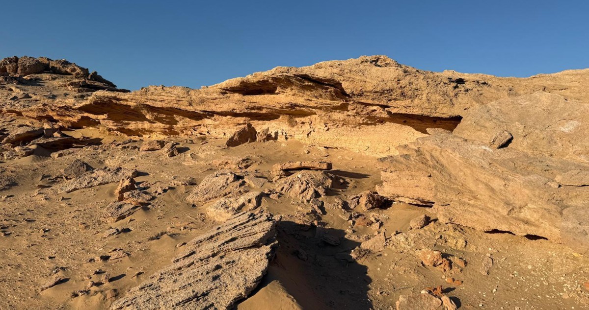 'جيوبارك الكويت' متحف طبيعي لتطور المنطقة عبر ملايين السنين