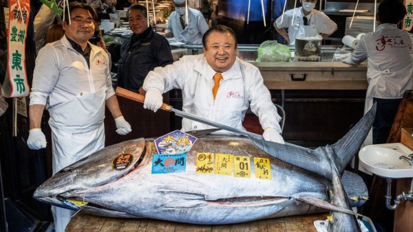 بيع سمكة تونا زرقاء بـ3.27 مليون دولار ضمن مزاد في #اليابان 