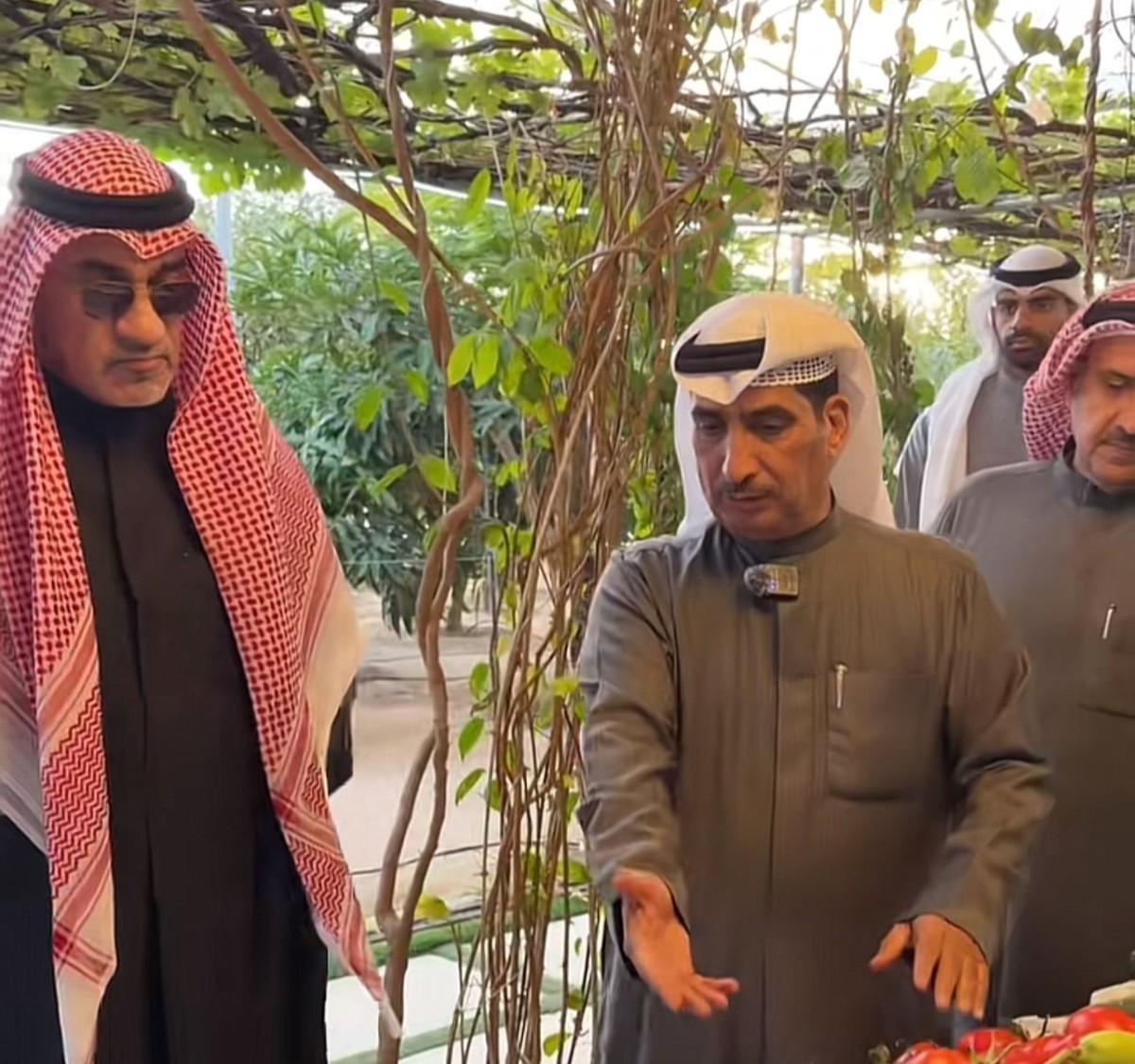 اليوسف: مدن عمالية بديلة لـ'عشوائيات' الجليب وخيطان