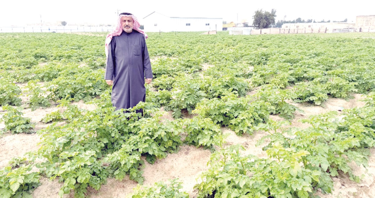 الجري: نفتقد الديزل المدعوم  والأولوية في التسويق المحلي