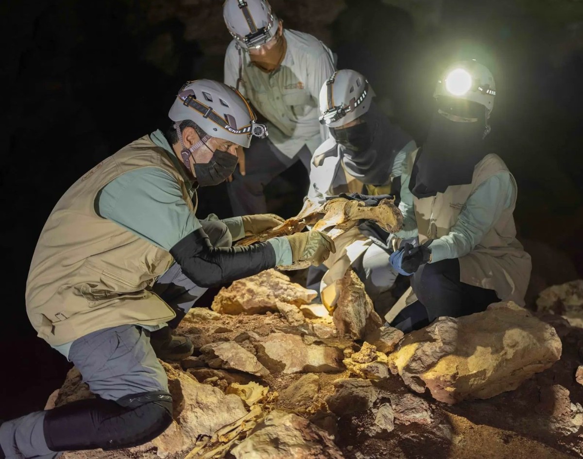 اكتشاف تاريخي: العثور على 7 فهود محنطة في كهوف شمال السعودية 2 اكتشاف تاريخي: العثور على 7 فهود محنطة في كهوف شمال السعودية
