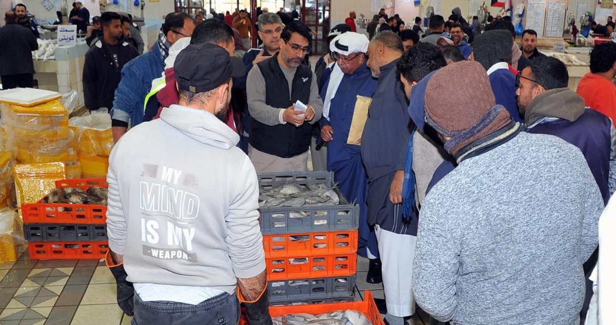 الكويت – طن من الأسماك لتعزيز الأمن الغذائي وضبط الأسعار في الأسواق
