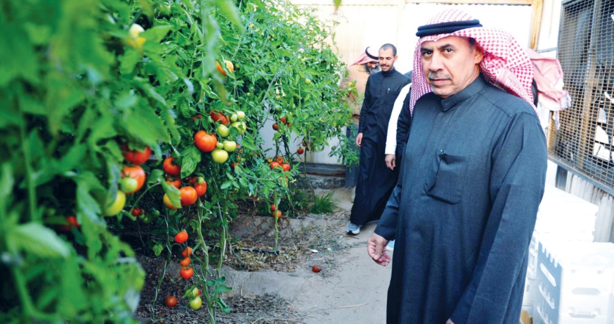 الرشيدي: تقنين المستورد يسهم فعلياً بحل مشكلة التسويق المحلي