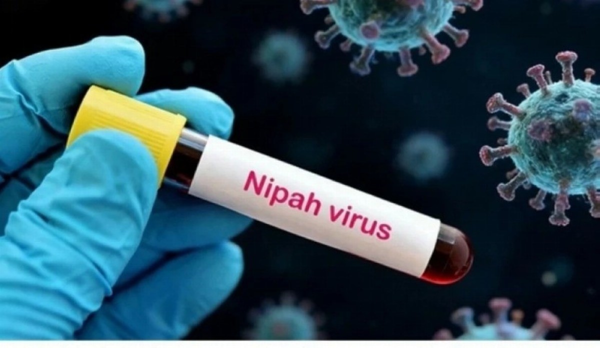 'الصحة العالمية': إصابتان فقط بفيروس 'نيباه' في الهند&hellip; ولا انتشار دولي