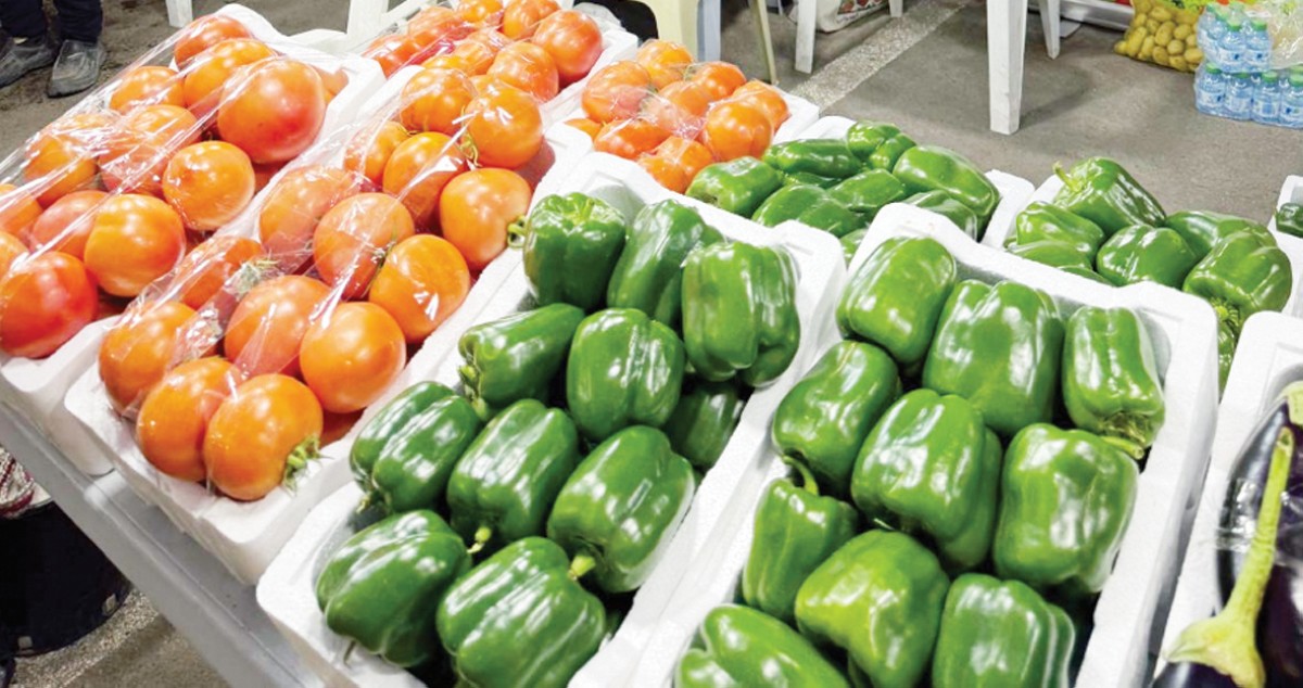 عدنان إبراهيم الجريوي: مطلوب تكويت تسويق المنتج المحلي وحماية المزارع 2 عدنان إبراهيم الجريوي: مطلوب تكويت تسويق المنتج المحلي وحماية المزارع