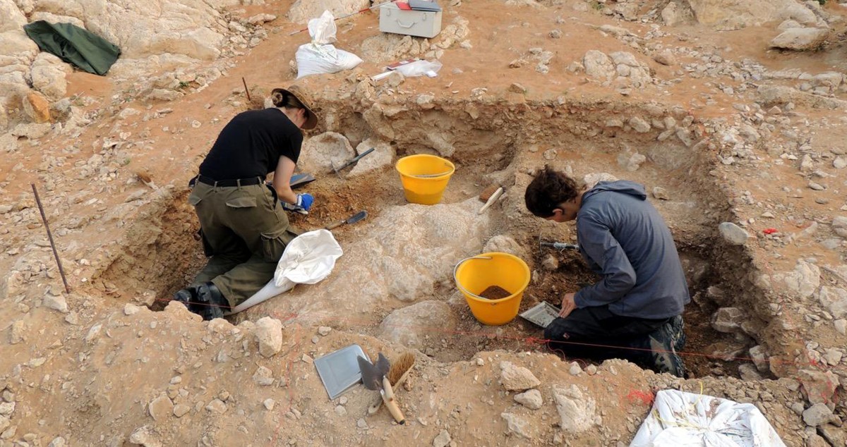 الشارقة: الترشح لـ'منحة الفاية للبحوث' حتى نهاية مارس