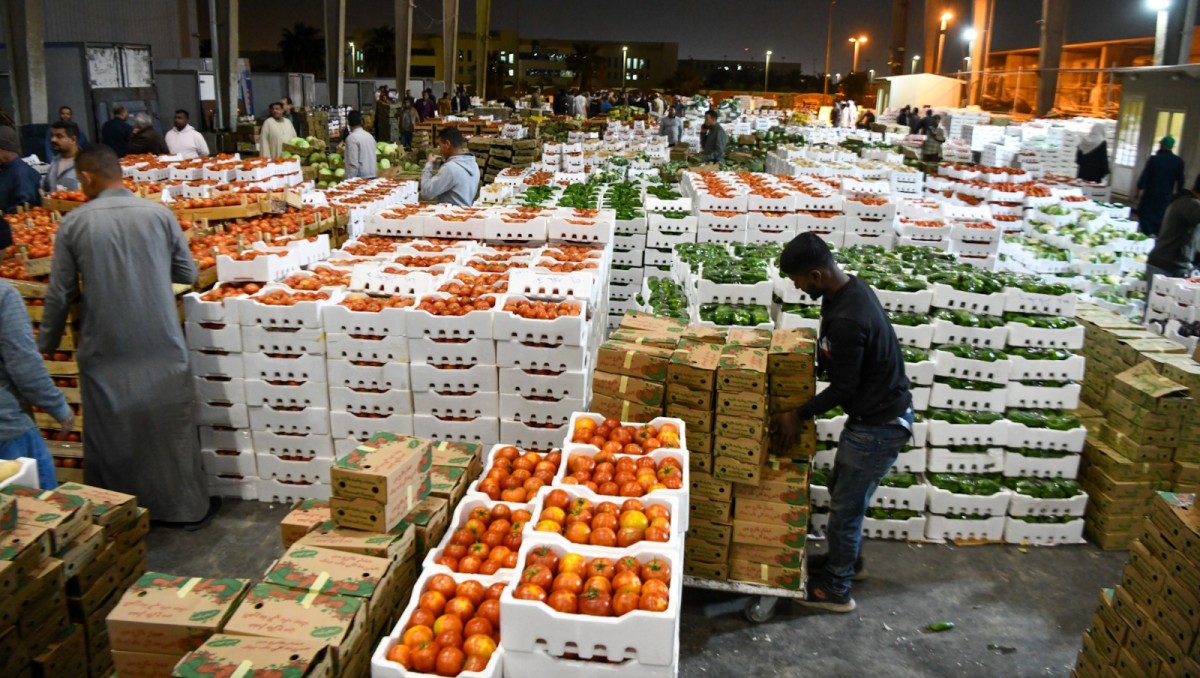 وزير 'التجارة' تفقد سوق اتحاد المزارعين في العارضية: استقرار أوضاع المنتجات الزراعية المحلية يؤكد كفاءة منظومة التوريد