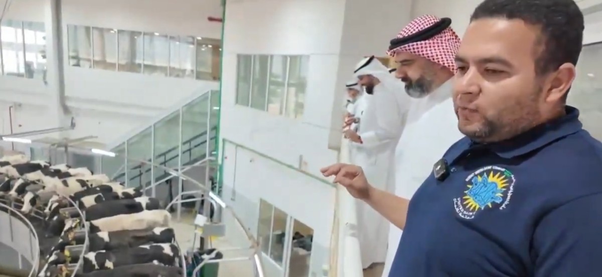 'الزراعة': مخزون الحليب ومنتجات الألبان مطمئن وكافٍ لتلبية احتياجات السوق المحلي