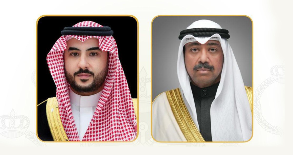 وزير الدفاع يبحث مع نظيره السعودي مستجدات الأوضاع في المنطقة