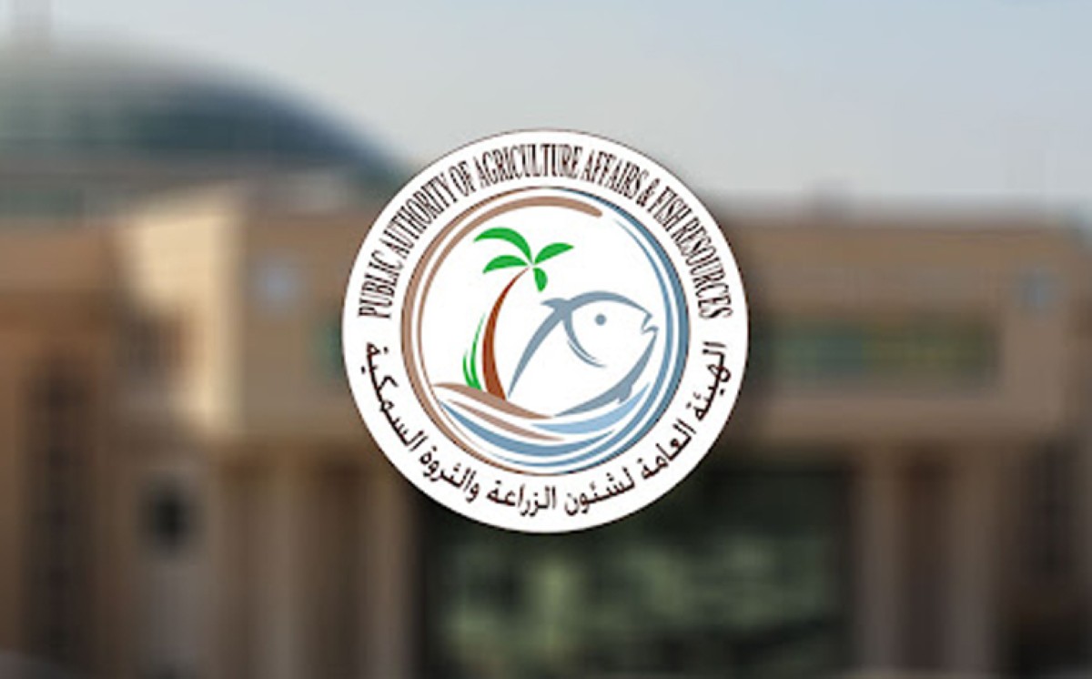 'الزراعة': سوق السمك يعمل بشكل طبيعي وكميات الأسماك المحلية المعروضة مطمئنة