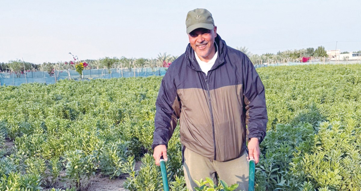 عمر أبوزور: نتجه للاكتفاء الذاتي من إنتاج بطاطا المائدة