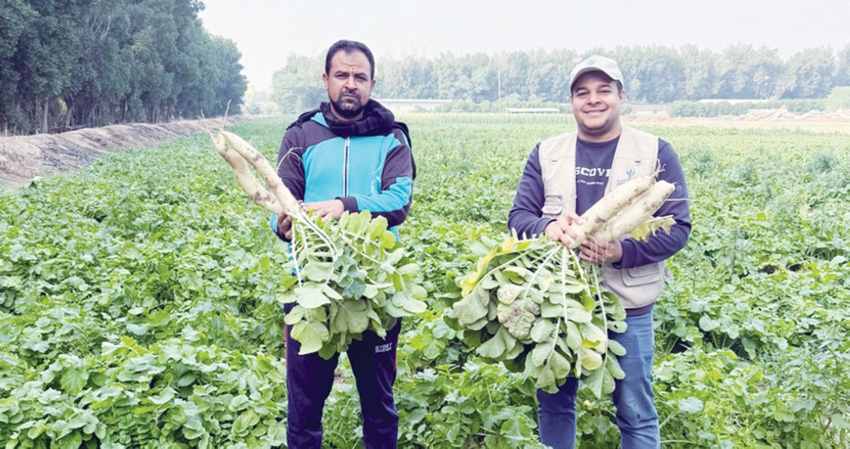 أحمد زيدان: البذور المهجّنة... أولى خطوات الإنتاج المتميز
