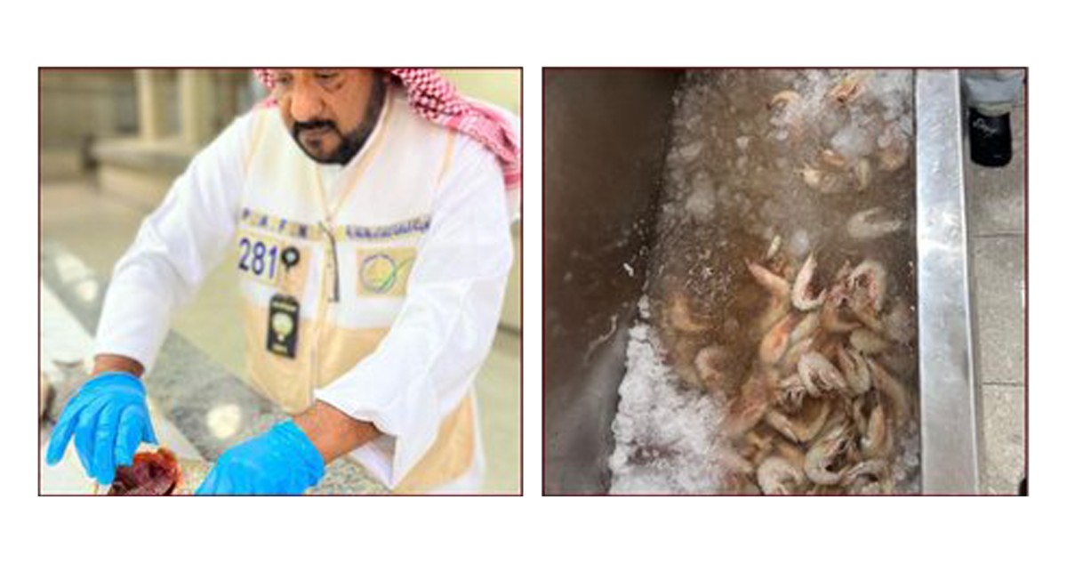 'الغذاء' تضبط 111 كيلوغراماً من الأسماك الفاسدة و83 كيلوغراماً من الربيان المغشوش