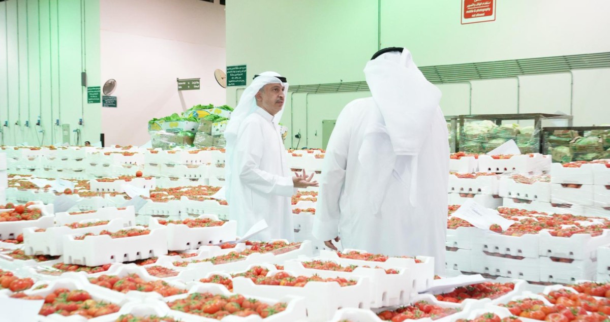 بودي: 350 طناً يومياً الإنتاج المحلي من الطماطم قريباً