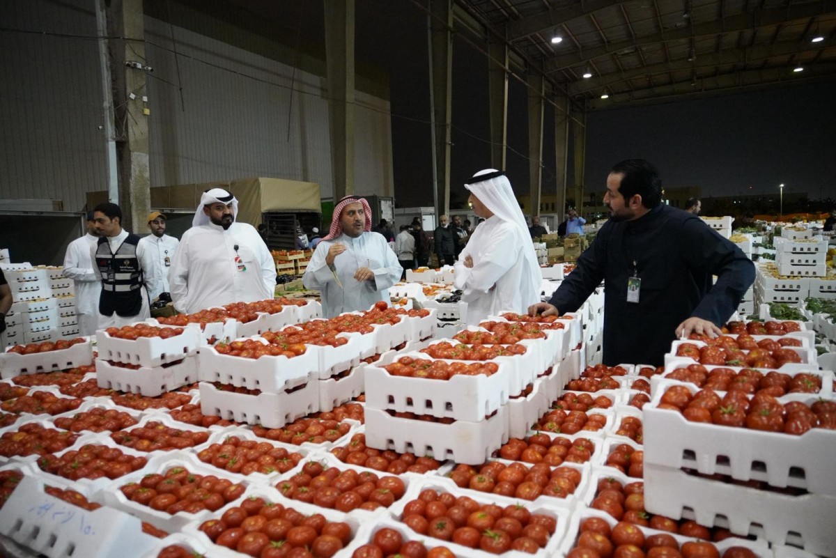 بودي: 350 طناً يومياً الإنتاج المحلي من الطماطم قريباً